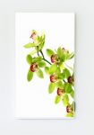 Radiateur Infrarouge lointain IRL 350W T-V