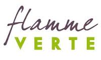 poele a granule et chaudiere a granule flamme verte Laminox idro